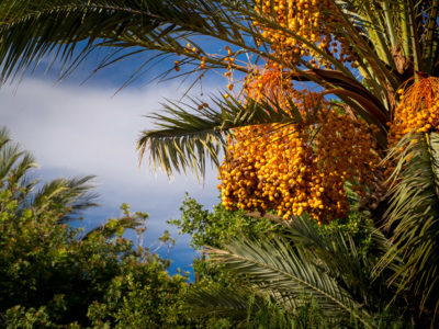 Penthouse La Estrella thumb